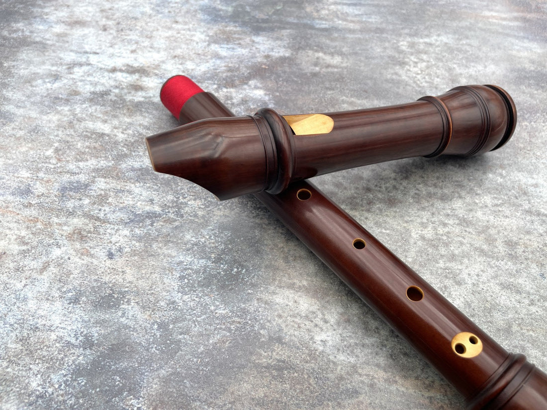 Comment caractériser les Flûtes à bec